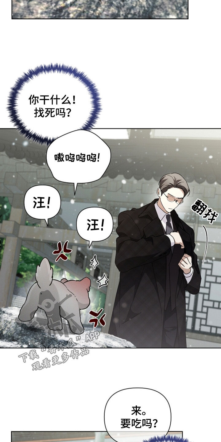 小白狗奇遇记漫画,第80章：【第二季】疯狼1图