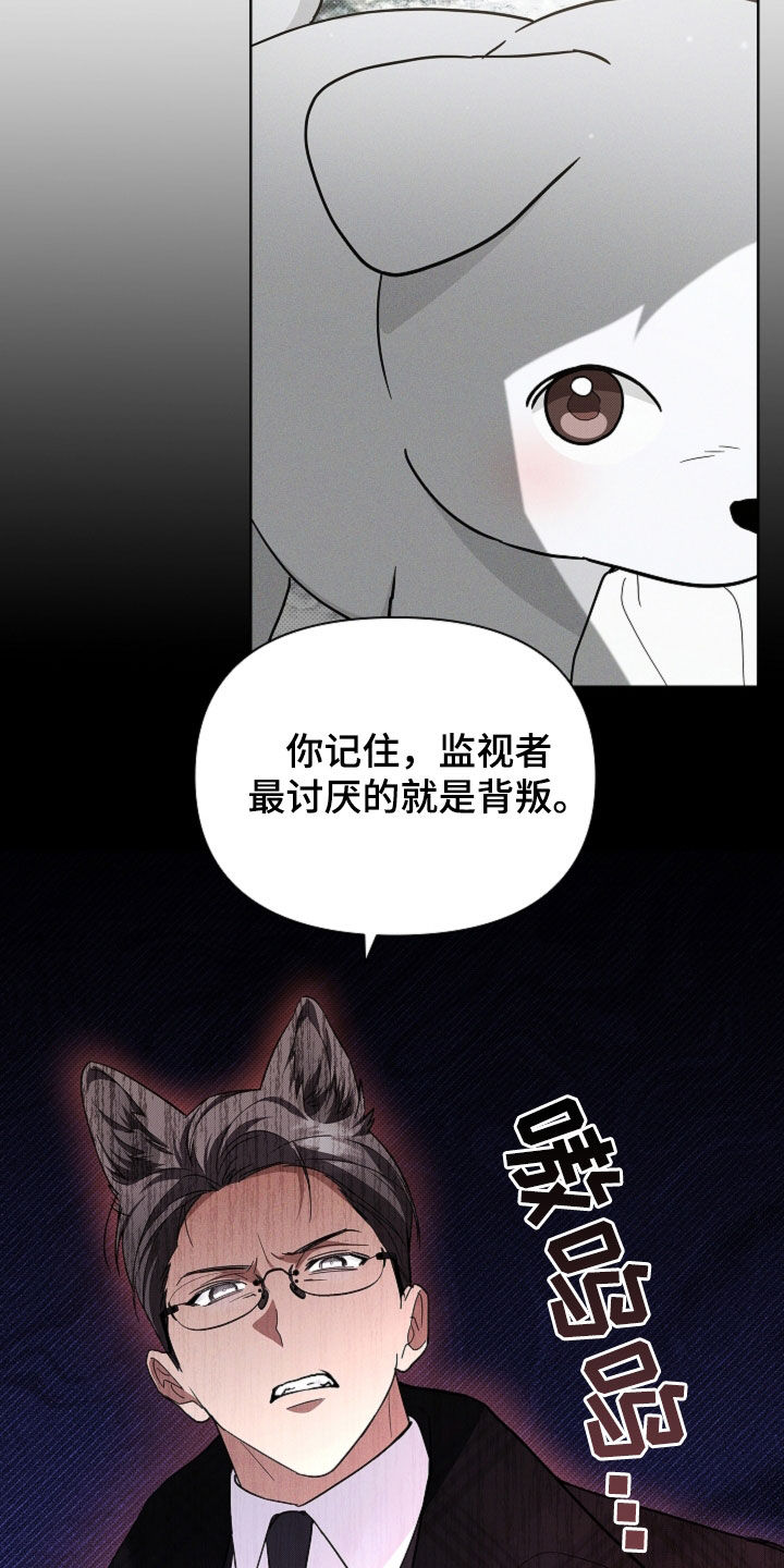 小白狗奇遇记漫画,第81章：【第二季】冤大头2图