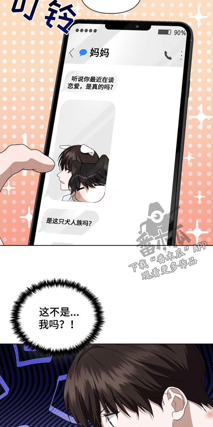 小白狗奇遇记漫画,第64章：我们得结婚了3图