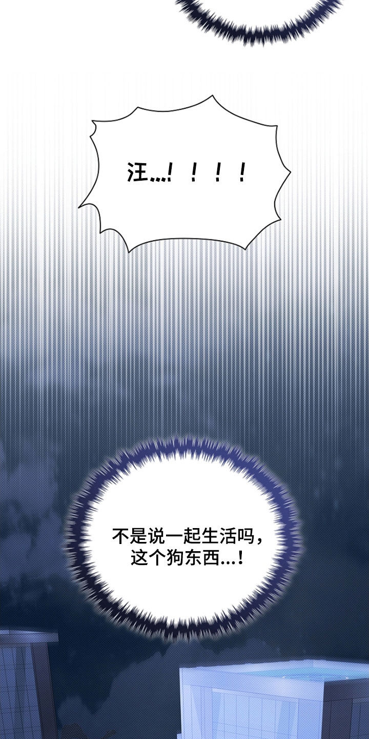 小白狗奇遇记漫画,第47章：他想攻击我1图