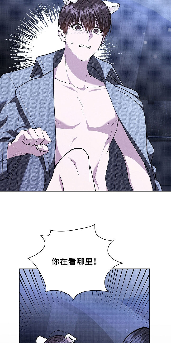 小白狗奇遇记漫画,第46章：这是什么1图