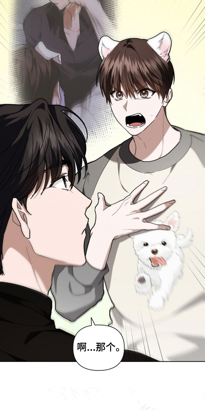 小白狗奇遇记漫画,第43章：当男朋友养4图