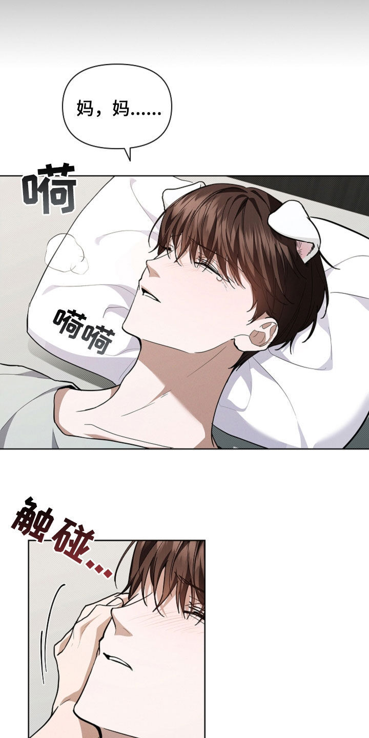 小白狗奇遇记漫画,第41章：体弱多病1图