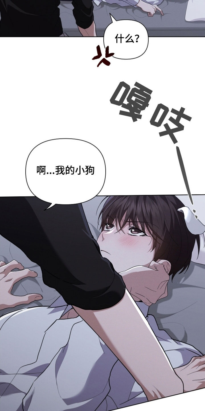 小白狗奇遇记漫画,第69章：果然很聪明5图