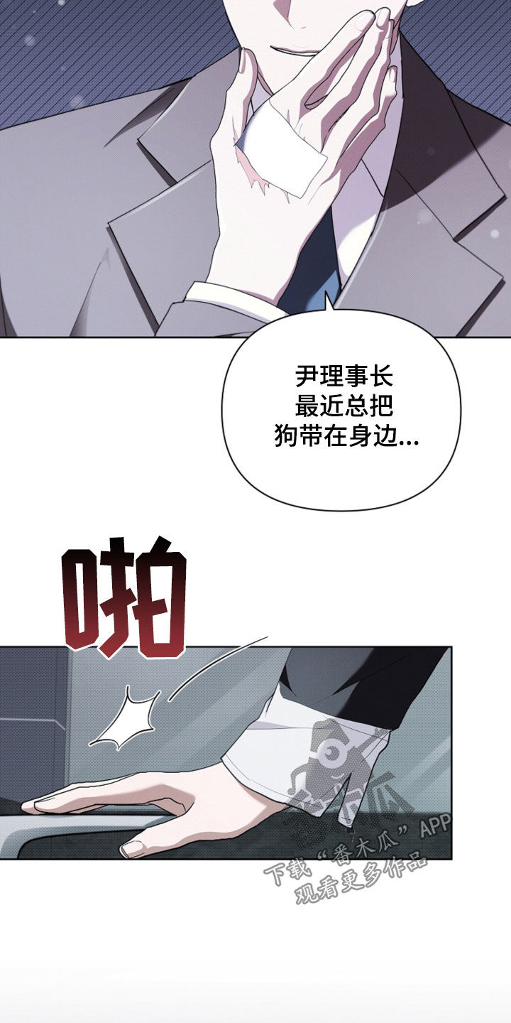 小白狗奇遇记漫画,第51章：我闯祸了1图