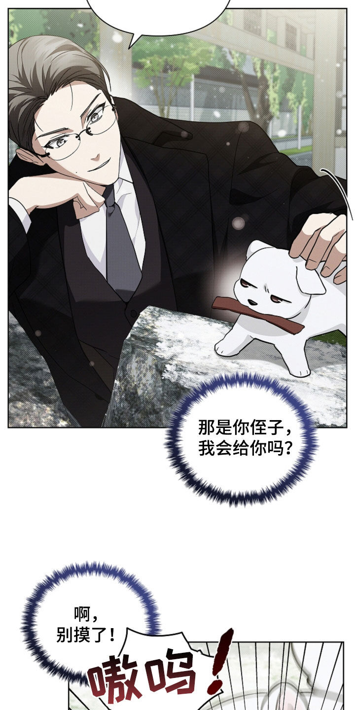 小白狗奇遇记漫画,第80章：【第二季】疯狼2图