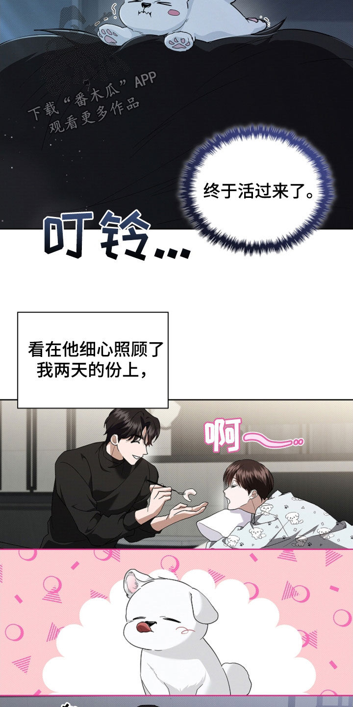 小白狗奇遇记漫画,第63章：命运的安排4图