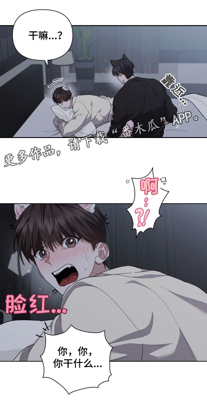 小白狗奇遇记漫画,第60章：成结1图
