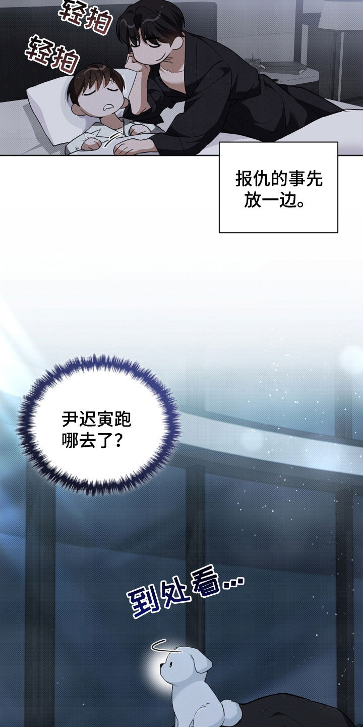 小白狗奇遇记漫画,第63章：命运的安排5图