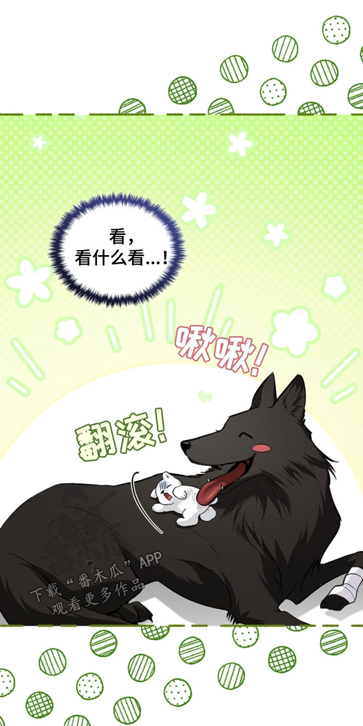 小白狗奇遇记漫画,第76章：【第二季】一起解决掉5图