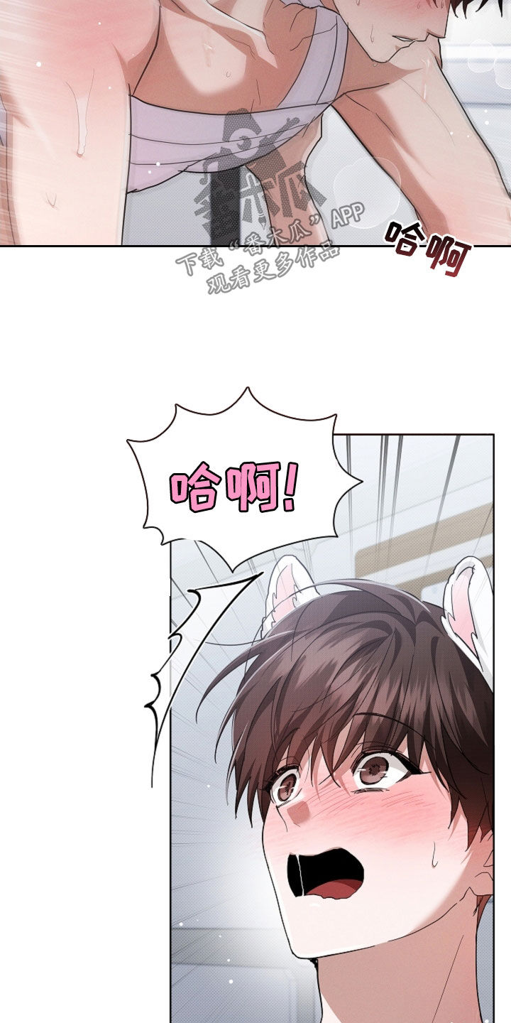 小白狗奇遇记漫画,第90章：【第二季】可以了4图