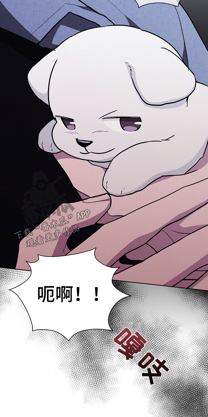 小白狗奇遇记漫画,第45章：报仇3图
