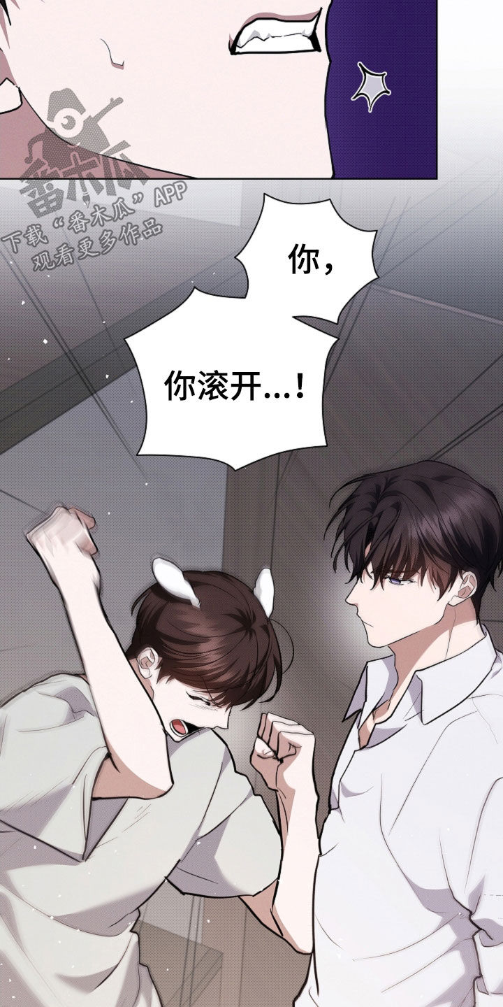 小白狗奇遇记漫画,第42章：是不是疯了3图