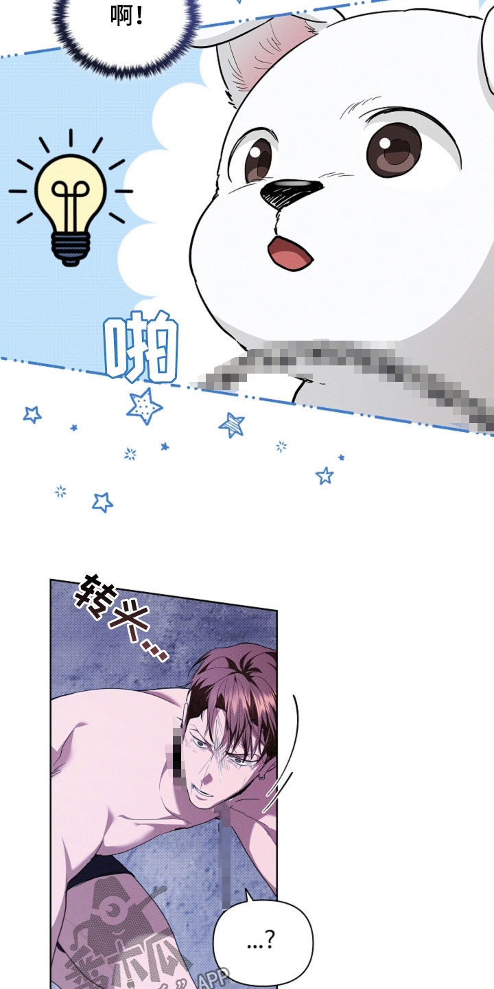 小白狗奇遇记漫画,第44章：大礼3图