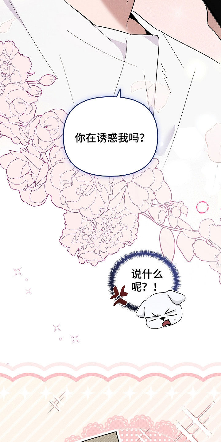 小白狗奇遇记漫画,第72章：【第二季】真神奇4图