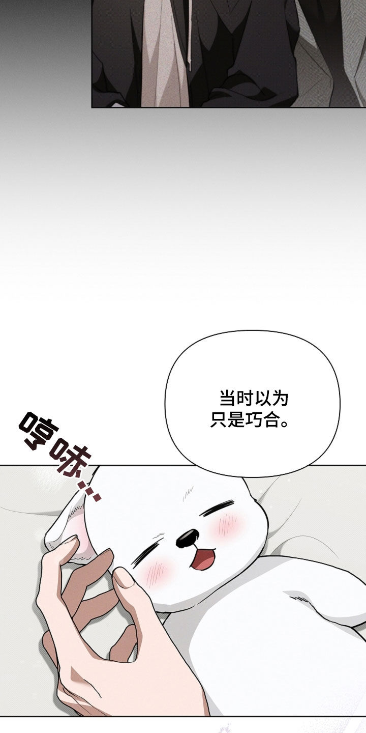 小白狗奇遇记漫画,第63章：命运的安排1图