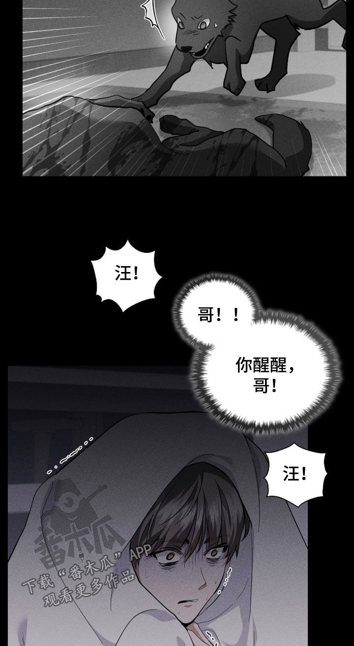 小白狗奇遇记漫画,第85章：【第二季】医院生活4图