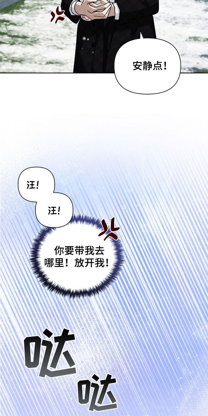 小白狗奇遇记漫画,第80章：【第二季】疯狼4图