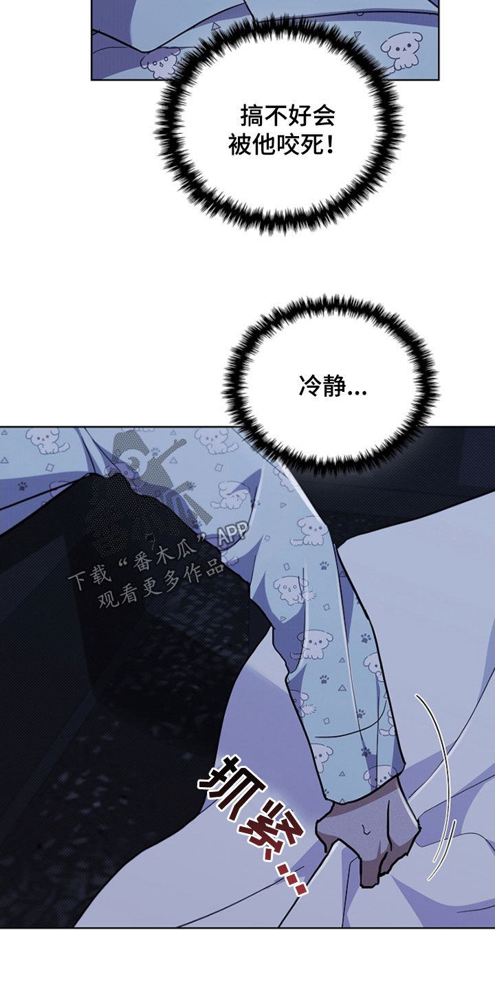 小白狗奇遇记漫画,第47章：他想攻击我5图