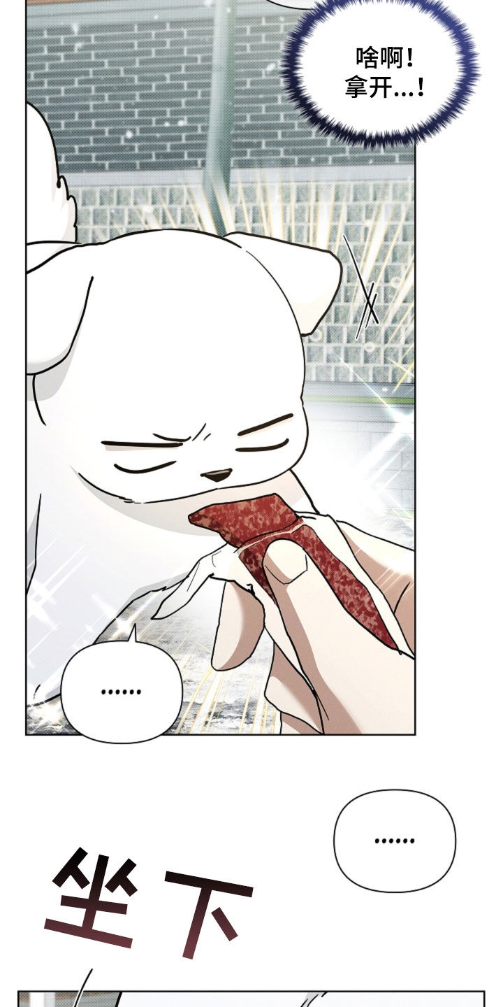 小白狗奇遇记漫画,第80章：【第二季】疯狼2图