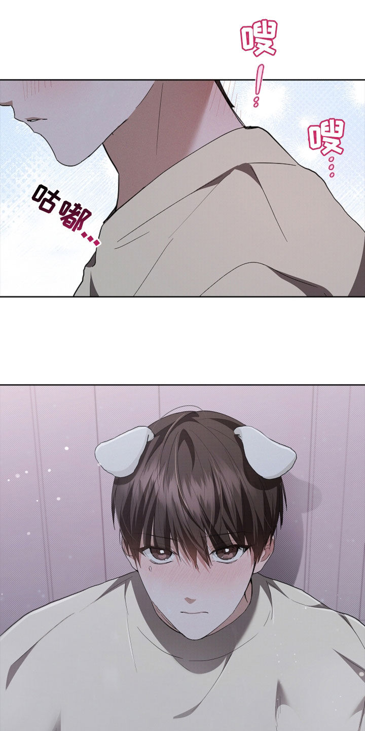 小白狗奇遇记漫画,第58章：是你就没关系3图