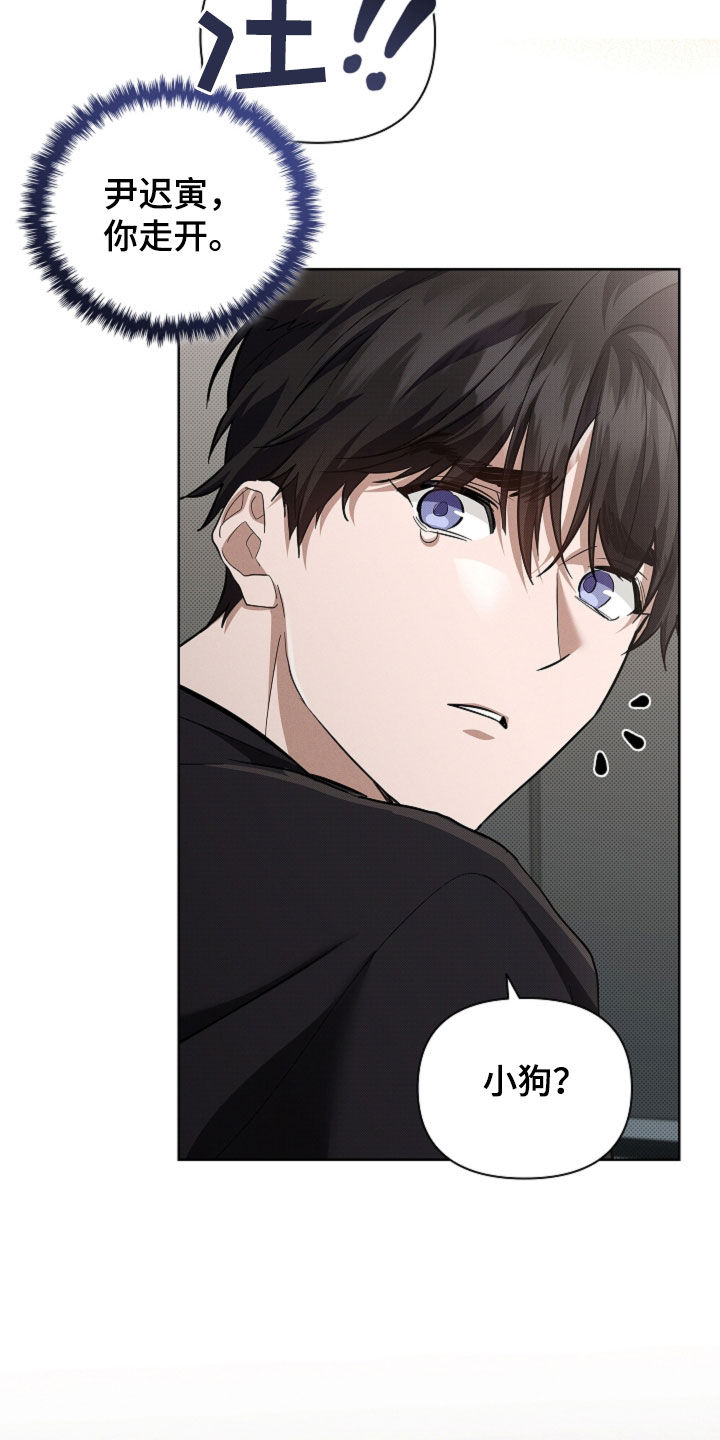 小白狗奇遇记漫画,第100章：【番外】还得我来1图