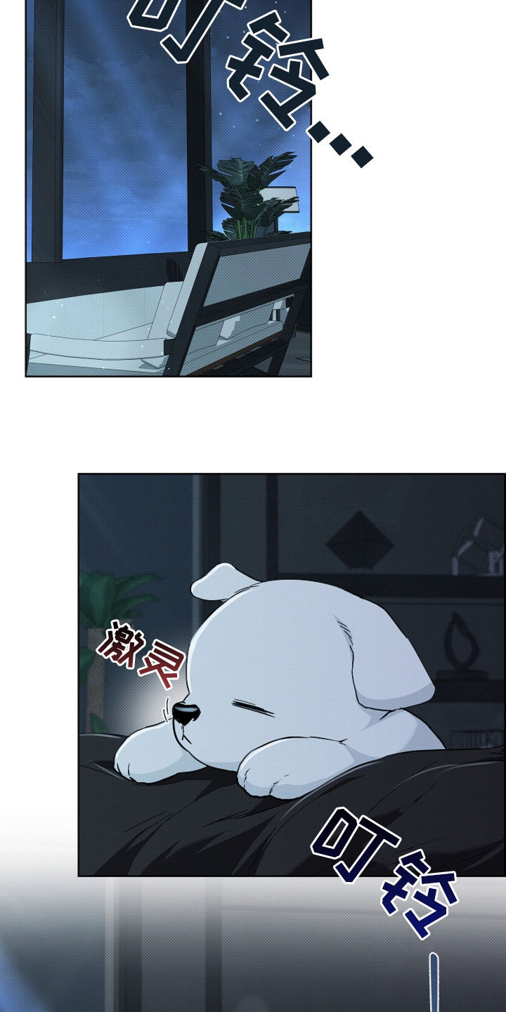 小白狗奇遇记漫画,第63章：命运的安排2图