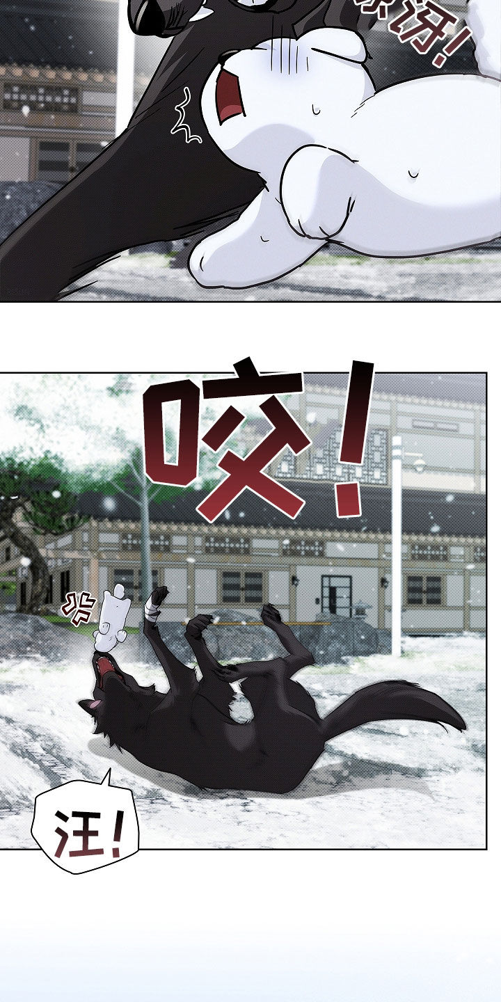 小白狗奇遇记漫画,第75章：【第二季】嬉戏5图