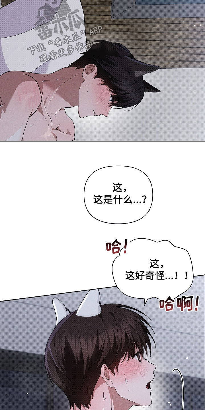 小白狗奇遇记漫画,第71章：【第二季】那我帮你1图