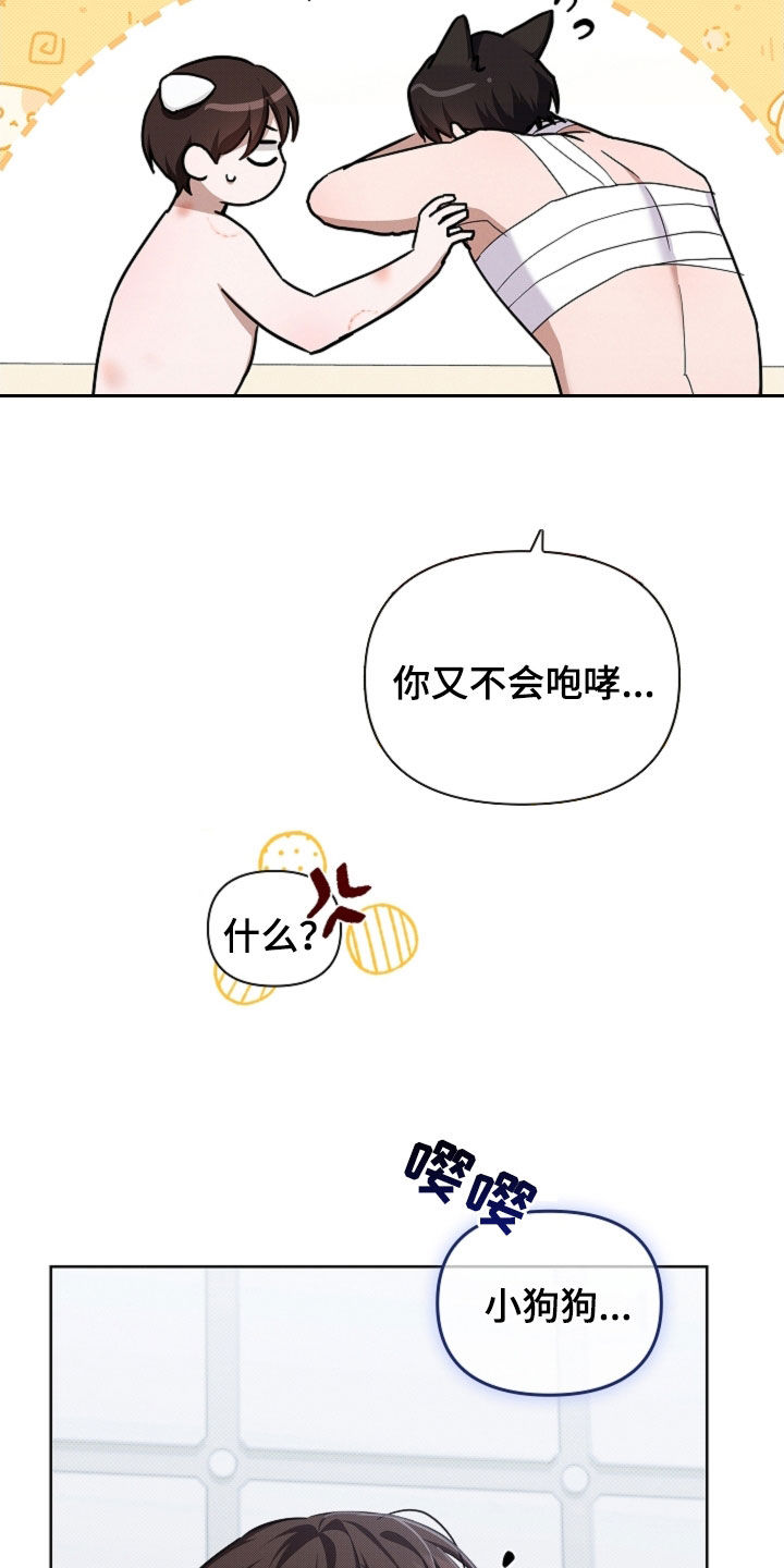 小白狗奇遇记漫画,第93章：【第二季】不能哭2图