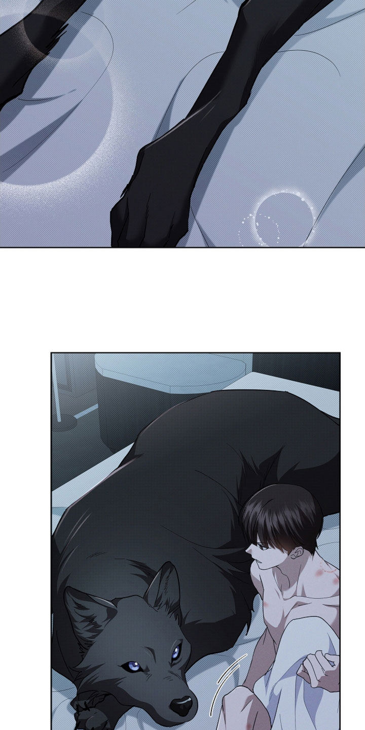 小白狗奇遇记漫画,第64章：我们得结婚了3图