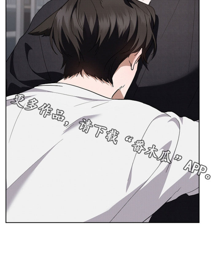 小白狗奇遇记漫画,第53章：不难过4图