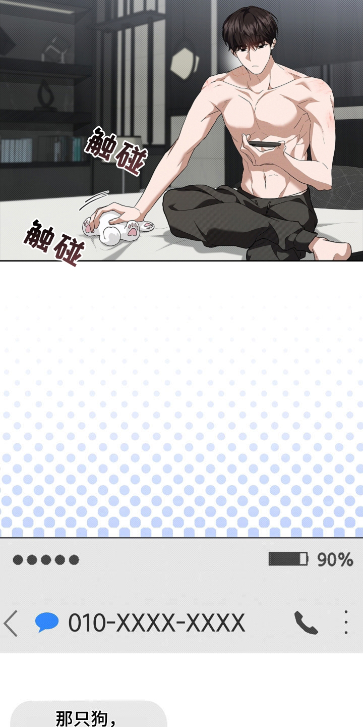 小白狗奇遇记漫画,第63章：命运的安排2图