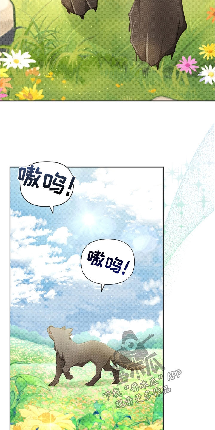 小白狗奇遇记漫画,第96章：【第二季完结】双向奔赴1图