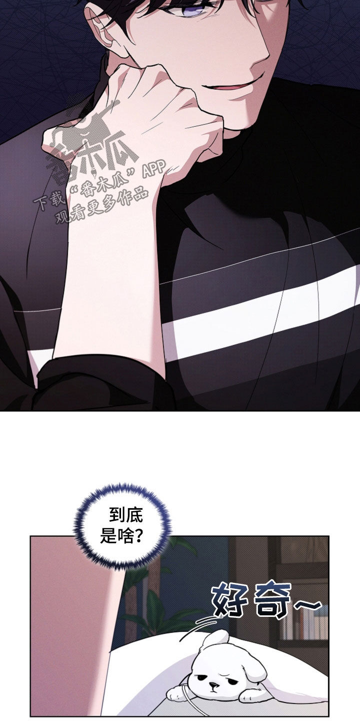 小白狗奇遇记漫画,第44章：大礼1图