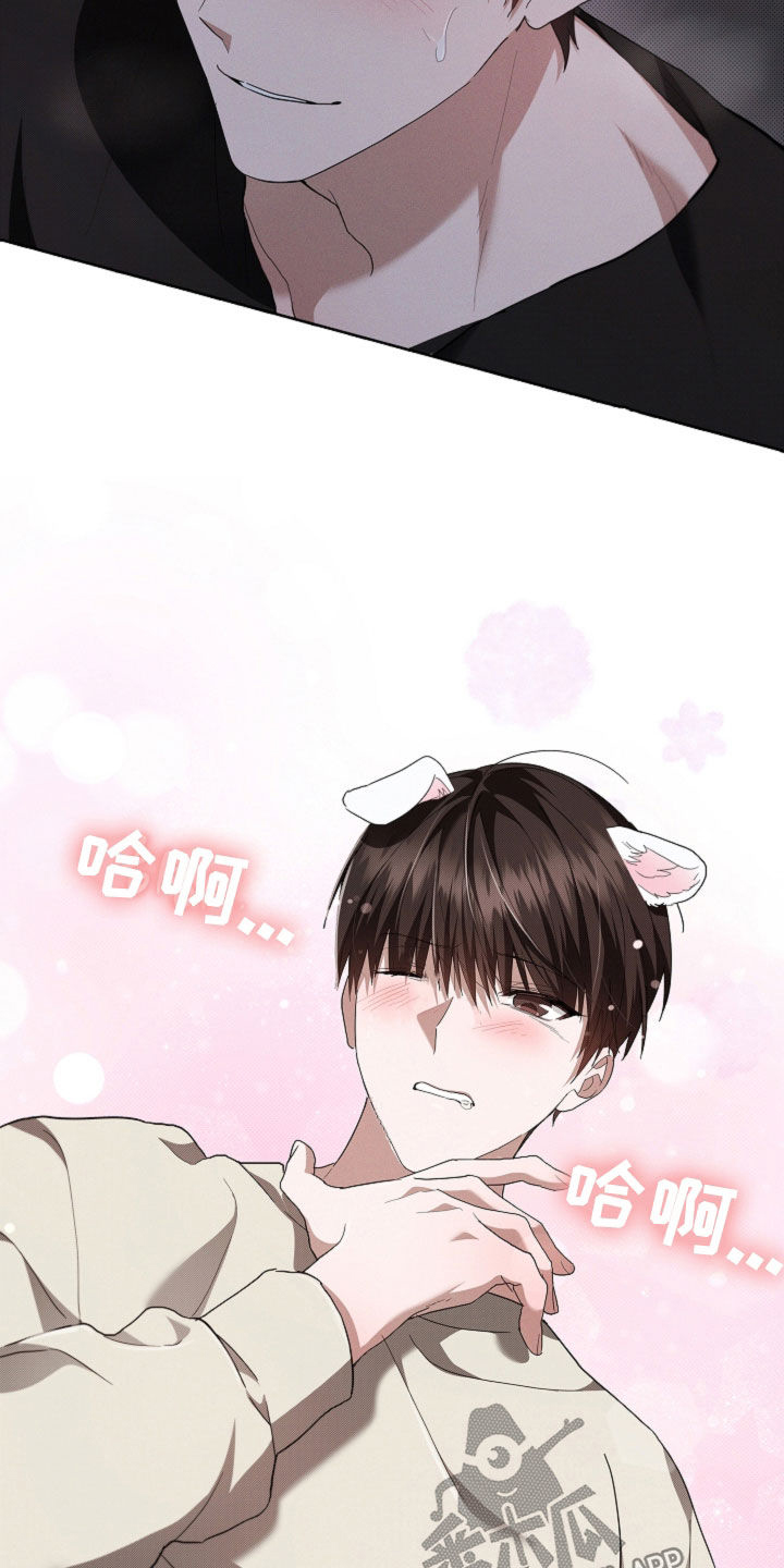 小白狗奇遇记漫画,第58章：是你就没关系4图