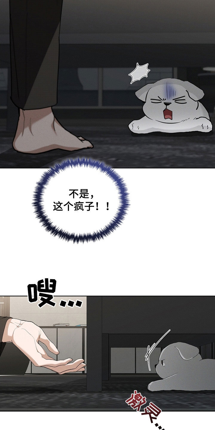 小白狗奇遇记漫画,第48章：去医院1图