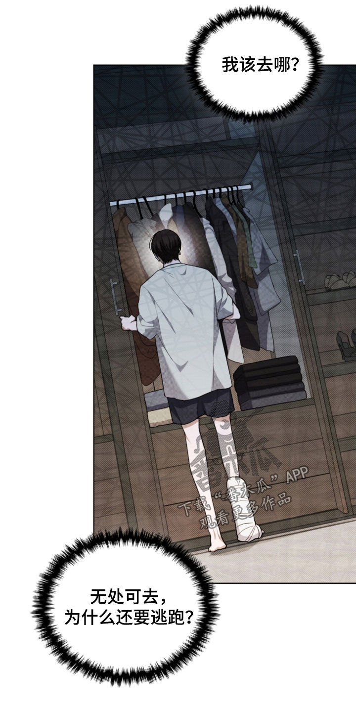 小白狗奇遇记漫画,第42章：是不是疯了5图