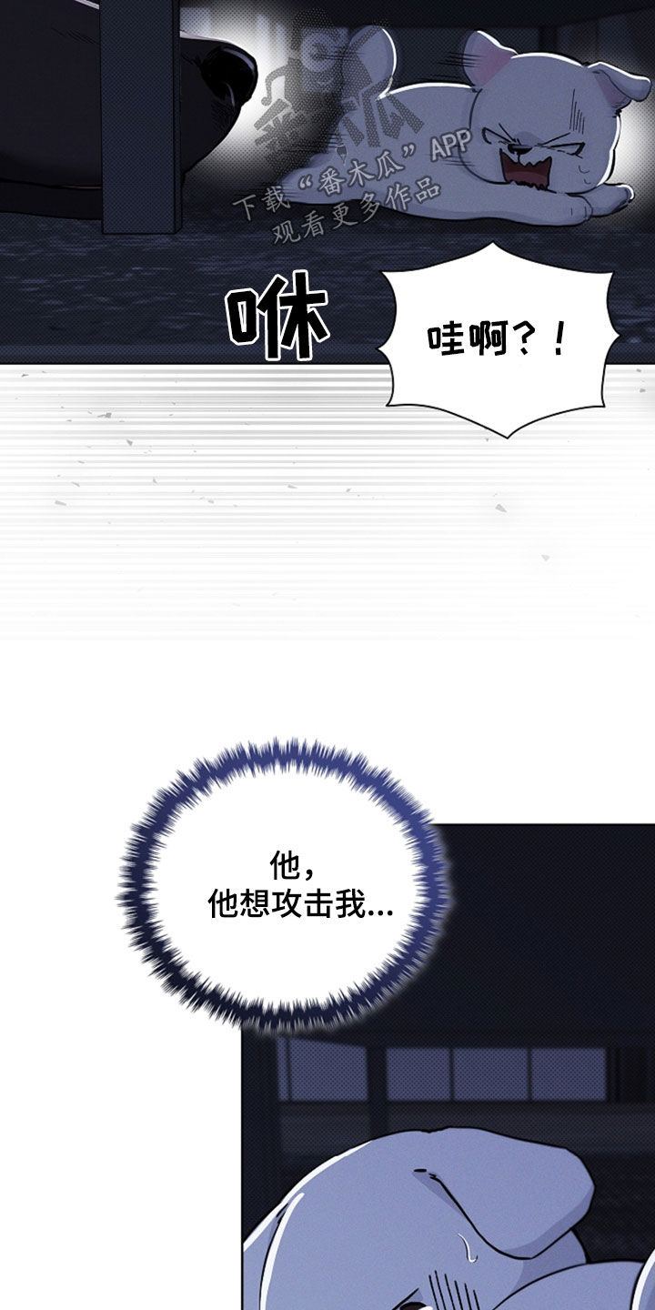 小白狗奇遇记漫画,第47章：他想攻击我3图