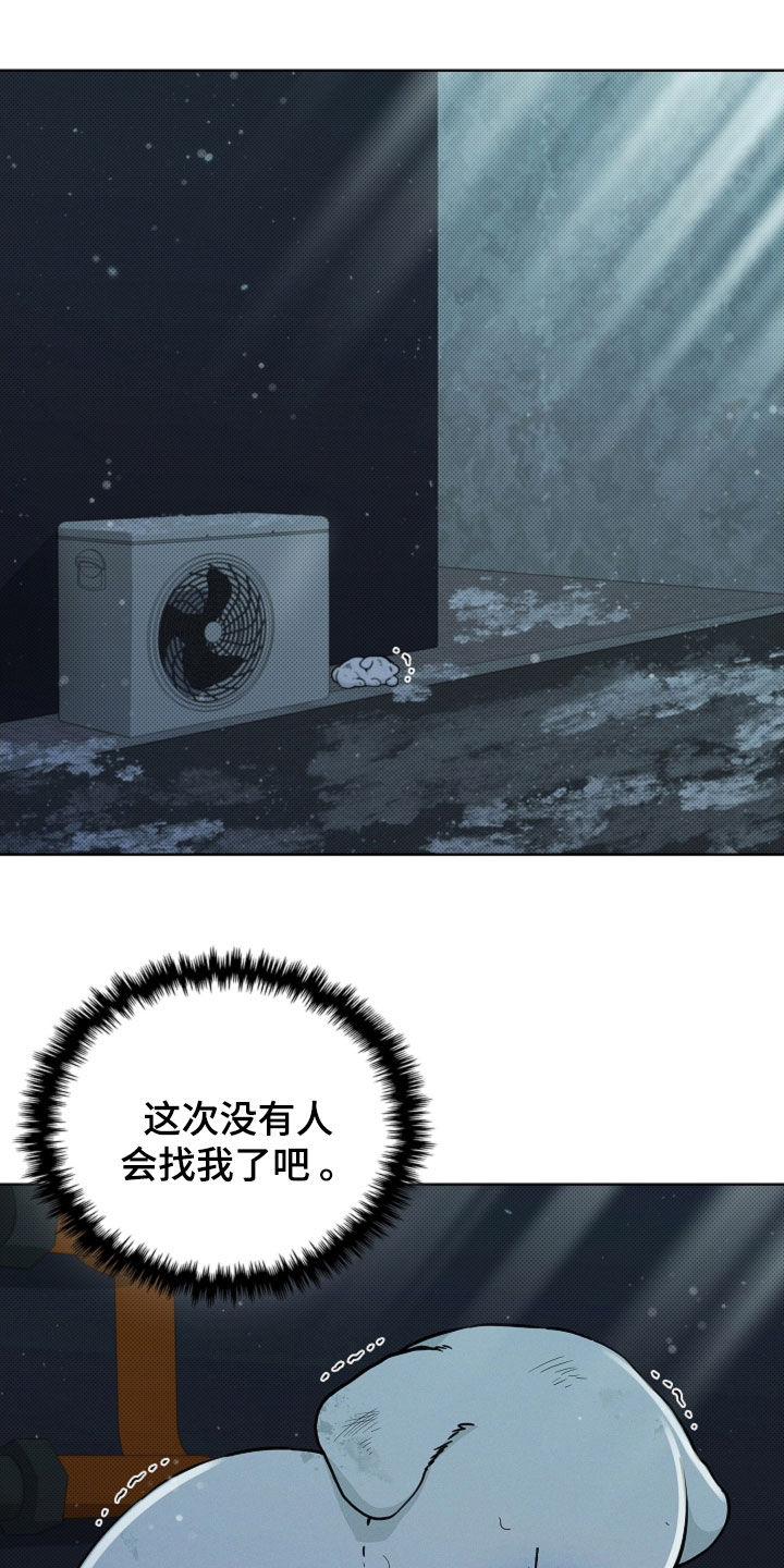小白狗奇遇记漫画,第40章：逃跑2图