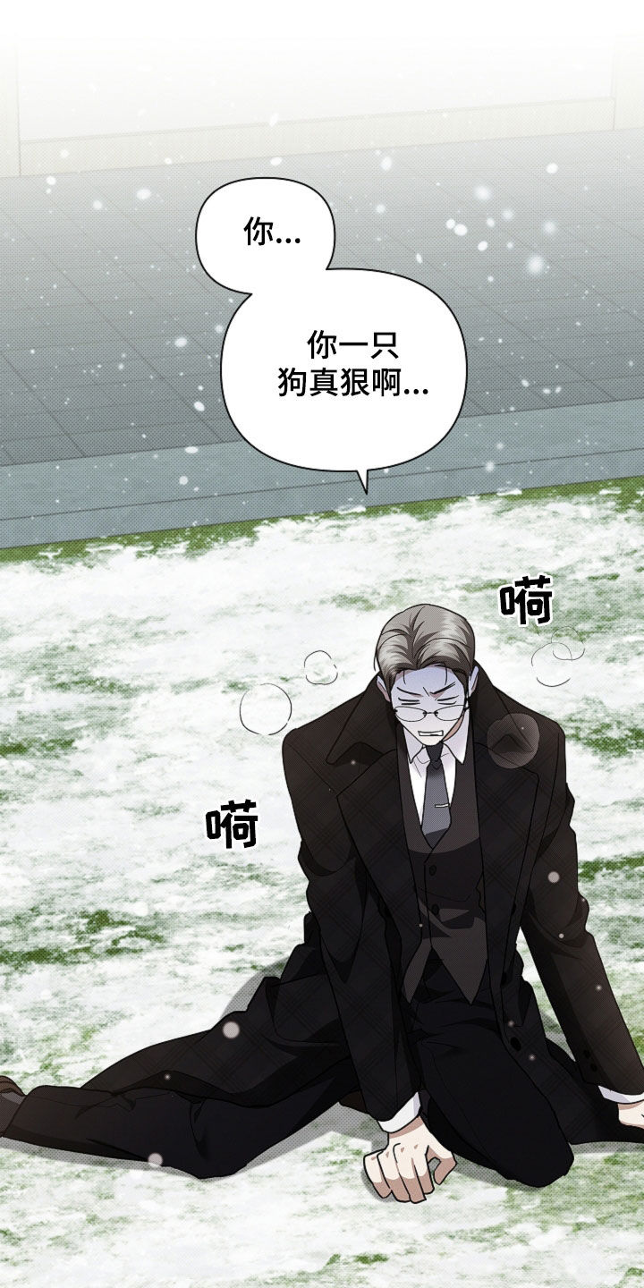 小白狗奇遇记漫画,第81章：【第二季】冤大头4图