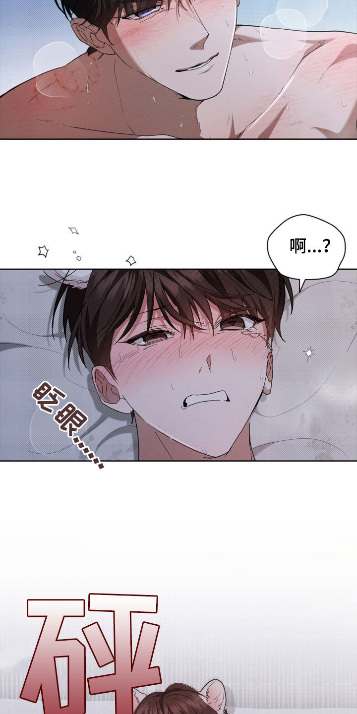 小白狗奇遇记漫画,第61章：真好看1图