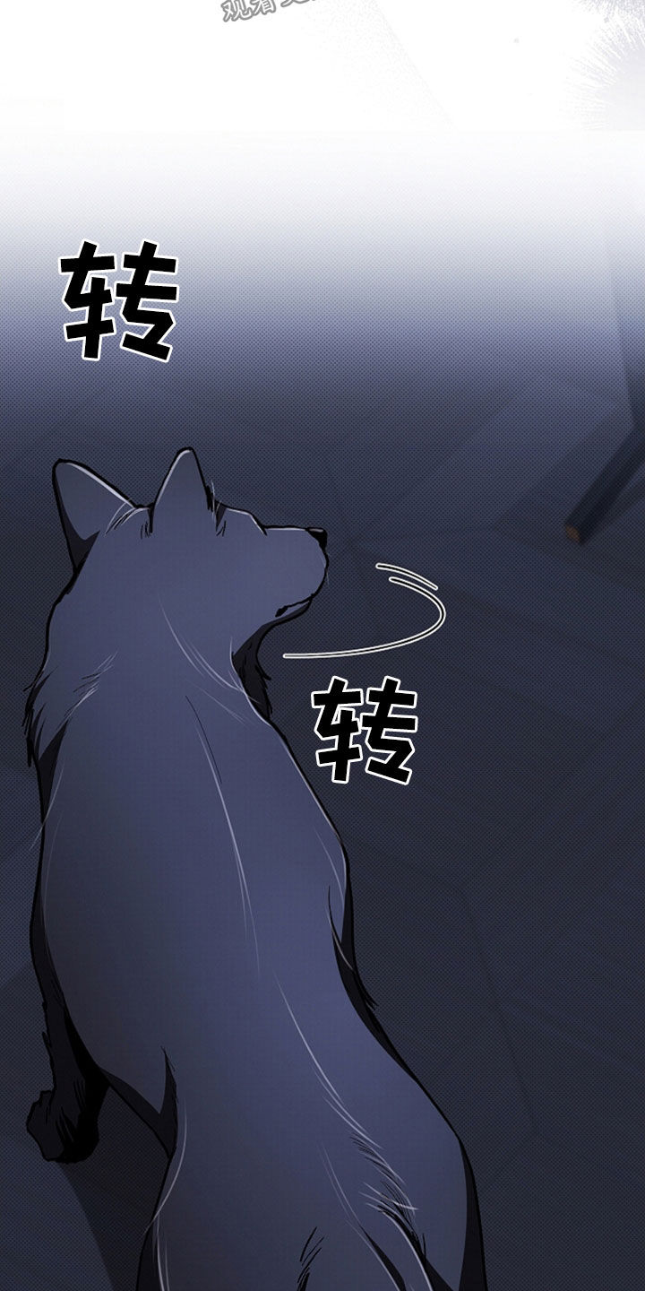 小白狗奇遇记漫画,第47章：他想攻击我5图