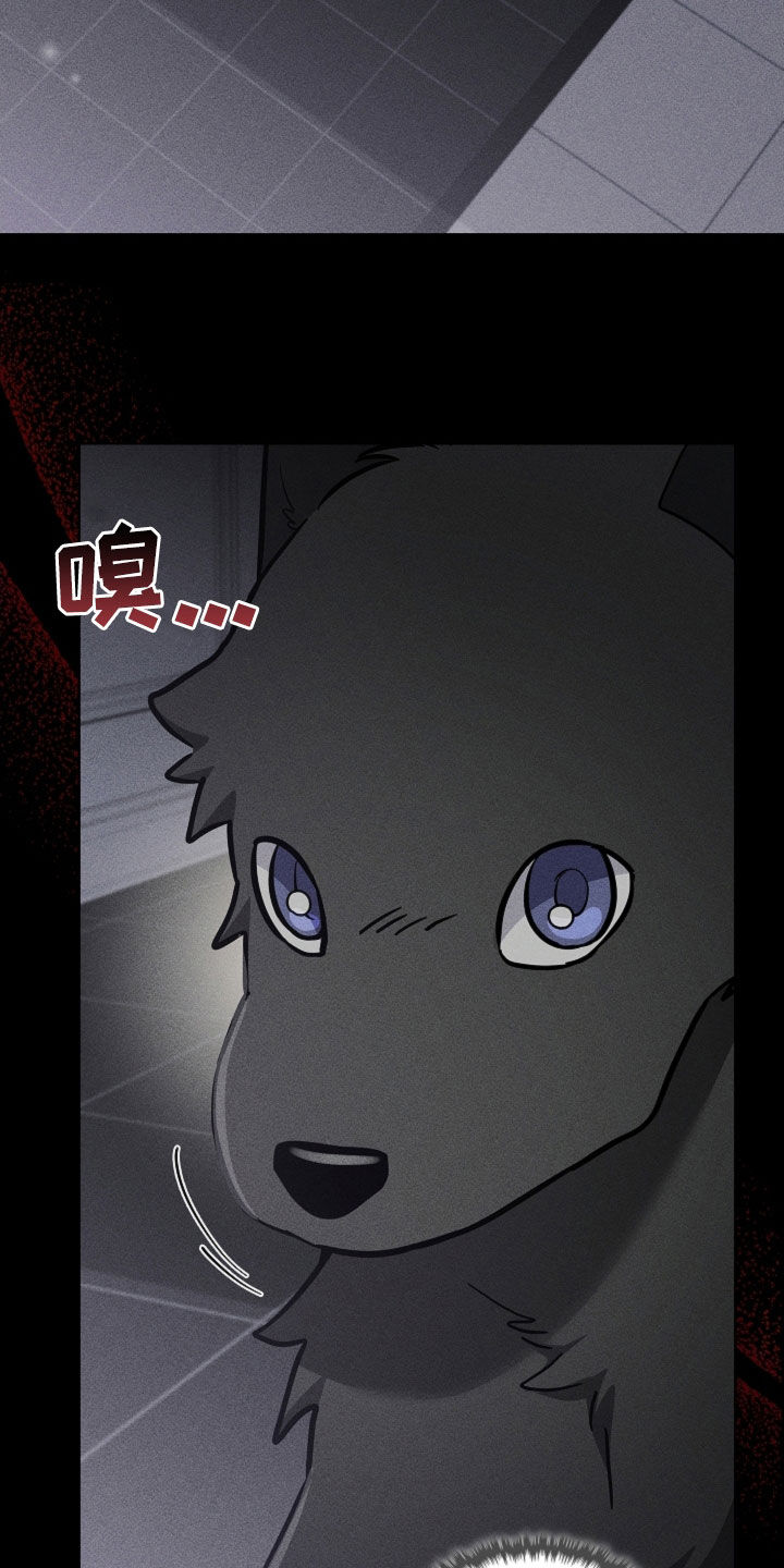 小白狗奇遇记漫画,第85章：【第二季】医院生活5图