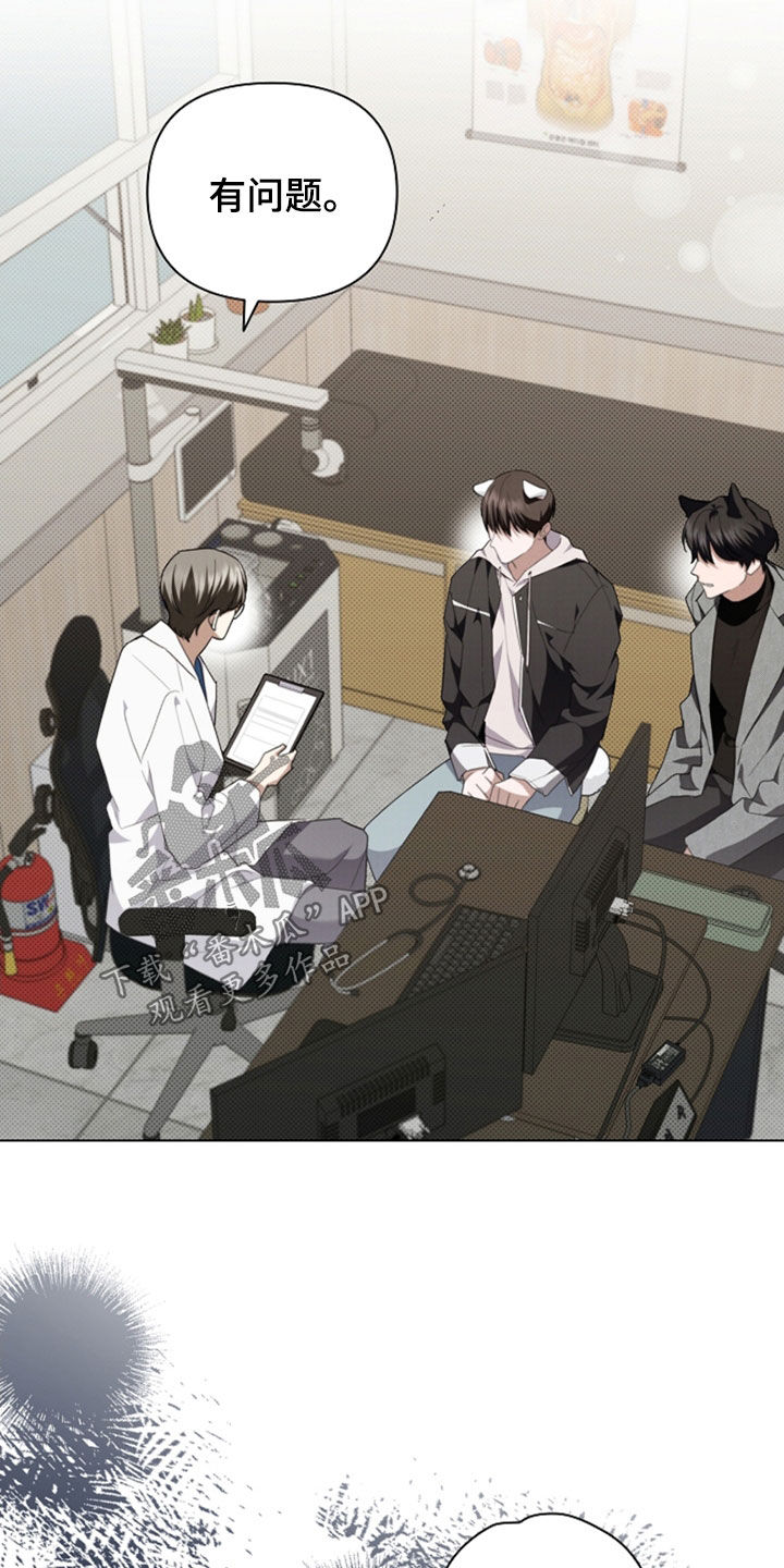 小白狗奇遇记漫画,第48章：去医院1图