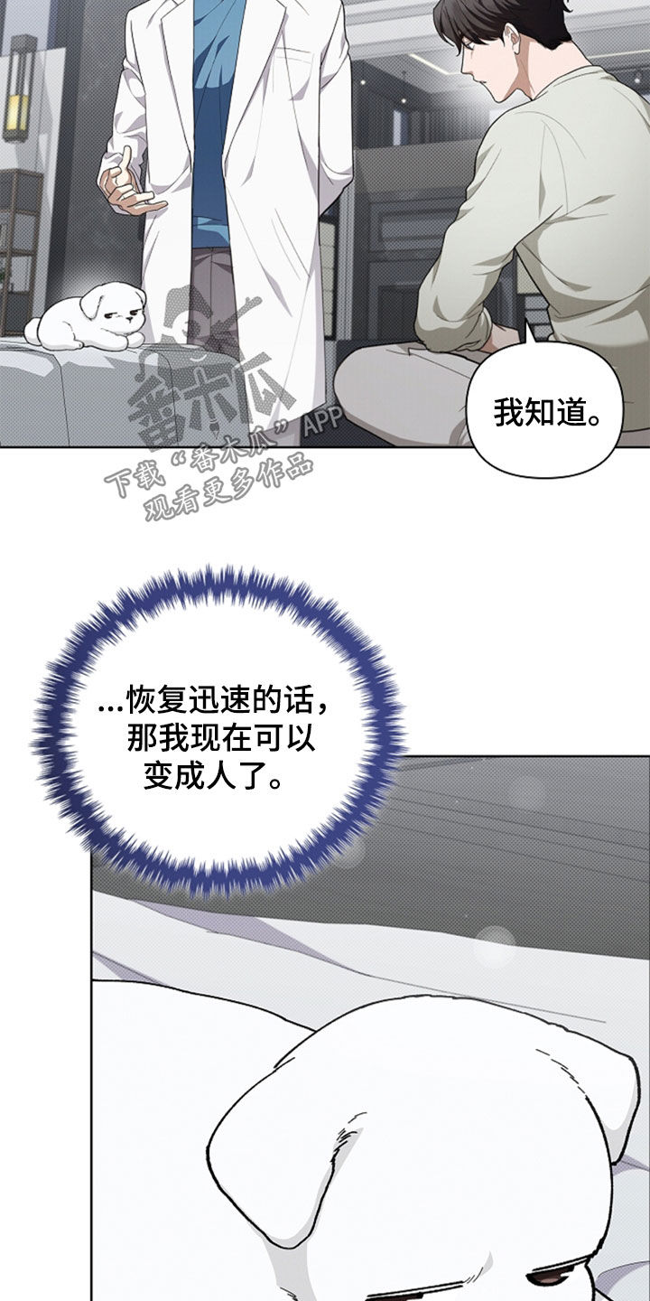 小白狗奇遇记漫画,第36章：打电话2图