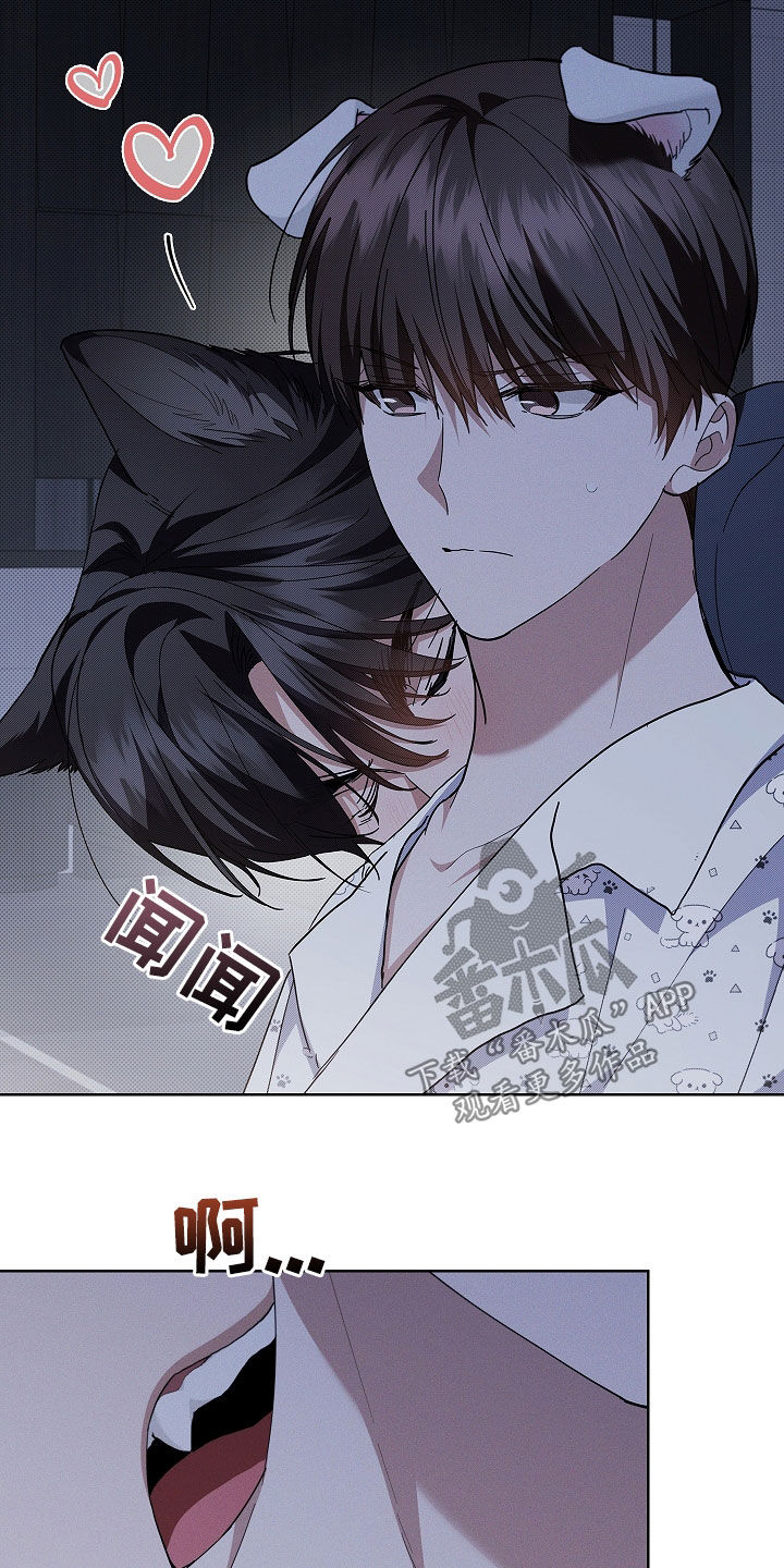 小白狗奇遇记漫画,第46章：这是什么2图