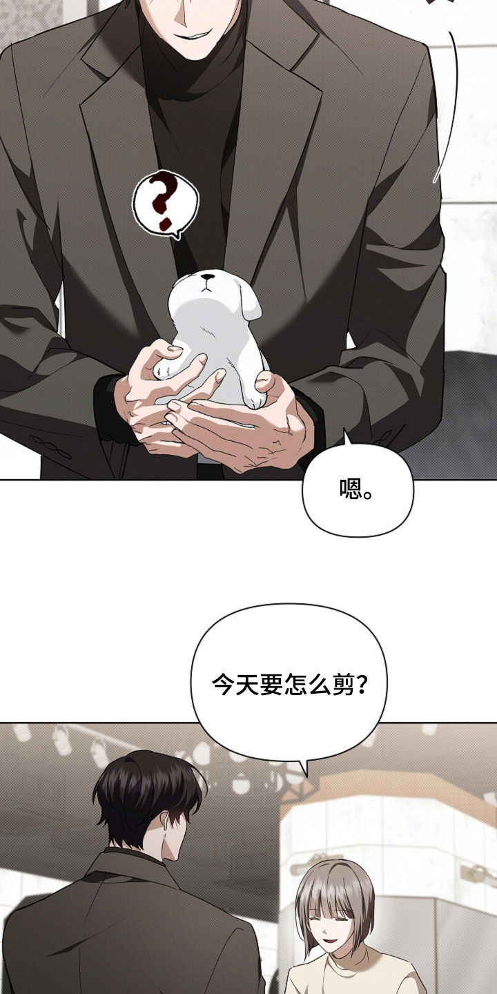小白狗奇遇记漫画,第65章：做美容4图