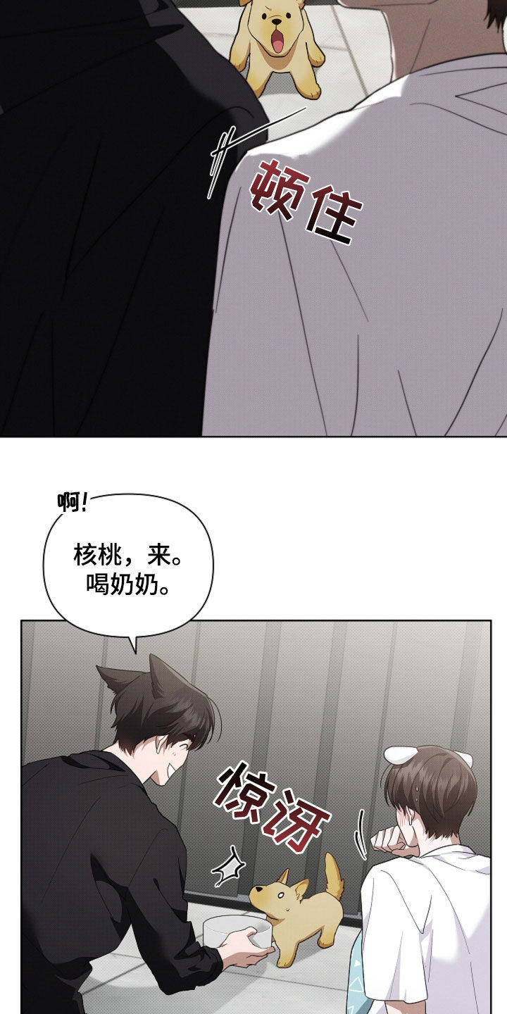 小白狗奇遇记漫画,第100章：【番外】还得我来4图