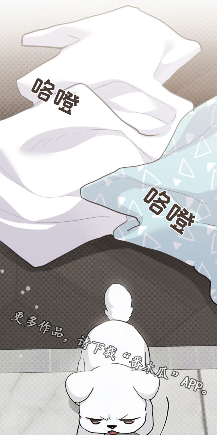 小白狗奇遇记漫画,第100章：【番外】还得我来2图